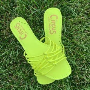 Circus by Sam Edelman Yellow Brady Slide Sandals